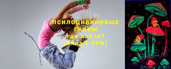 дурь Алзамай