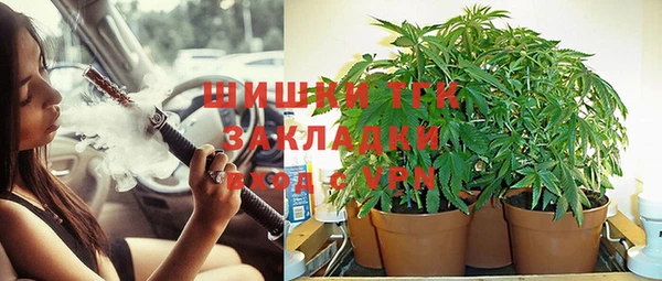 дурь Алзамай