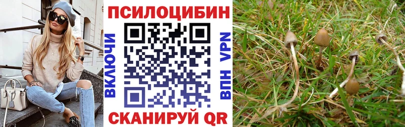 Галлюциногенные грибы прущие грибы  Андреаполь 